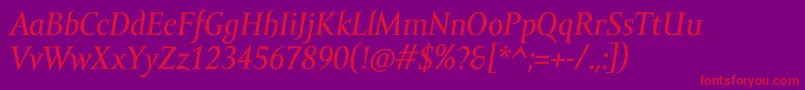 AmorSerifTextProItalic Font – Red Fonts on Purple Background