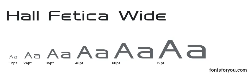 Hall Fetica Wide Font Sizes