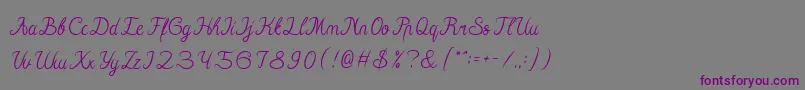 Hall Of Fame Font – Purple Fonts on Gray Background