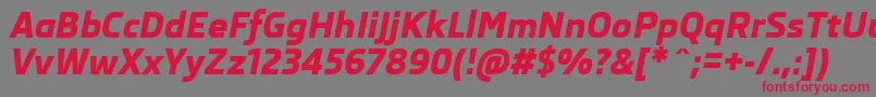 SkodaProExtraboldItalic Font – Red Fonts on Gray Background