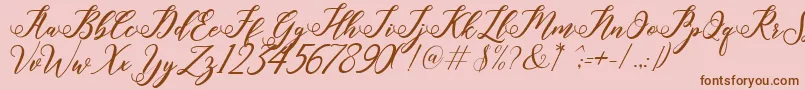 halley Font – Brown Fonts on Pink Background