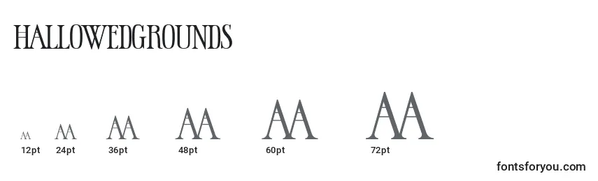 HallowedGrounds Font Sizes