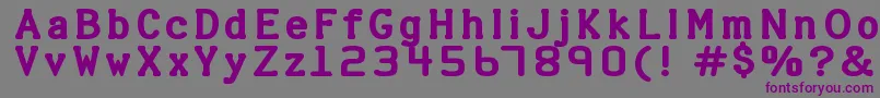 HALTER   Font – Purple Fonts on Gray Background