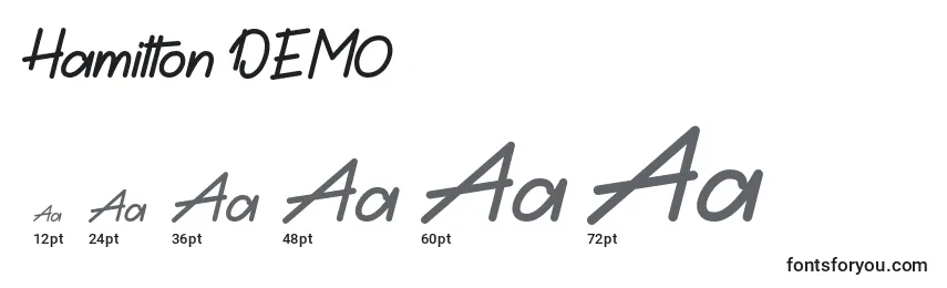 Hamilton DEMO Font Sizes