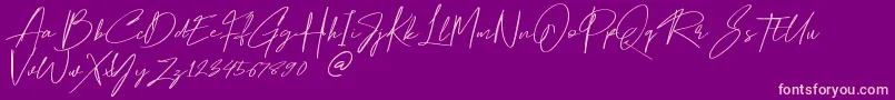 Hamilton-Schriftart – Rosa Schriften auf violettem Hintergrund