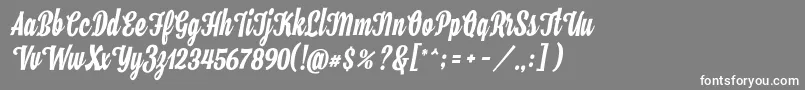 Hamster Font – White Fonts on Gray Background