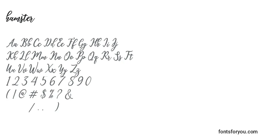 Schriftart Hamster (128926) – Alphabet, Zahlen, spezielle Symbole