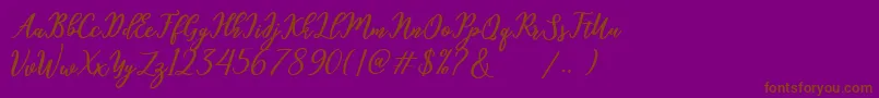 Шрифт hamster – коричневые шрифты на фиолетовом фоне