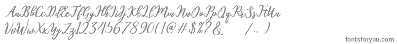 hamster-fontti – harmaat kirjasimet valkoisella taustalla