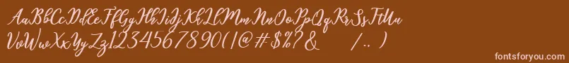 hamster Font – Pink Fonts on Brown Background