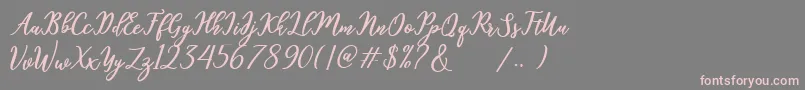 Шрифт hamster – розовые шрифты на сером фоне