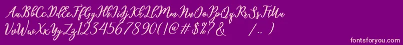 hamster Font – Pink Fonts on Purple Background