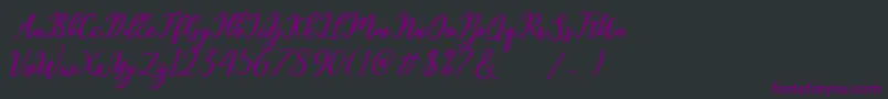 Шрифт hamster – фиолетовые шрифты на чёрном фоне