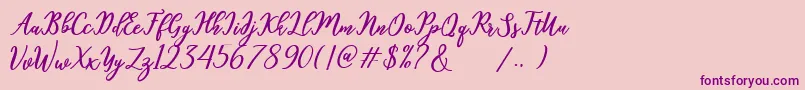 hamster Font – Purple Fonts on Pink Background