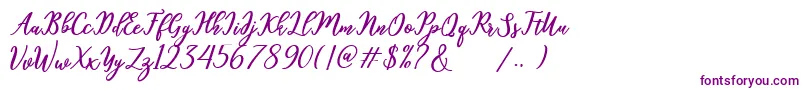 hamster-fontti – violetit fontit valkoisella taustalla