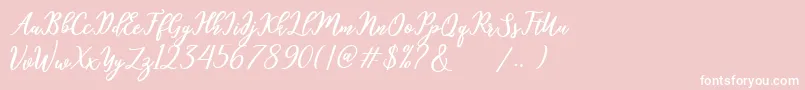 Шрифт hamster – белые шрифты на розовом фоне