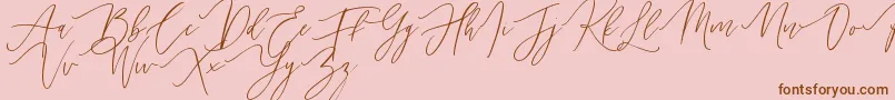 Handita Font – Brown Fonts on Pink Background