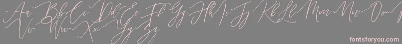 Handita Font – Pink Fonts on Gray Background