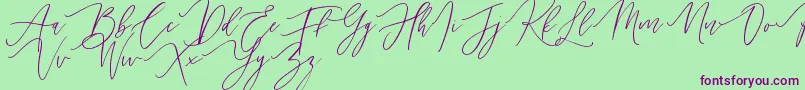 Handita Font – Purple Fonts on Green Background