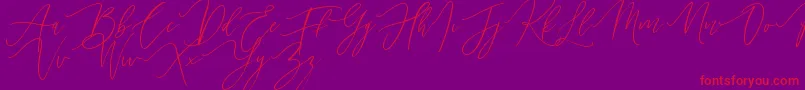 Handita Font – Red Fonts on Purple Background