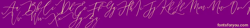 Handita Font – Yellow Fonts on Purple Background