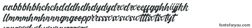 Шрифт Handletterink – шона шрифты