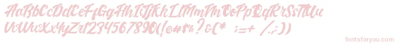 Handletterink Font – Pink Fonts