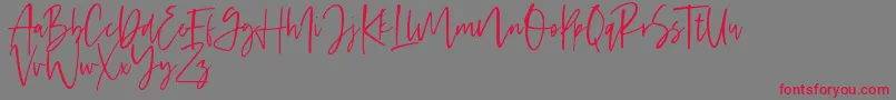 Handsel-Schriftart – Rote Schriften auf grauem Hintergrund