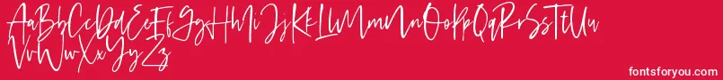 Handsel Font – White Fonts on Red Background