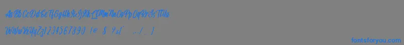 Police Handsome Boss   Personal Use – polices bleues sur fond gris