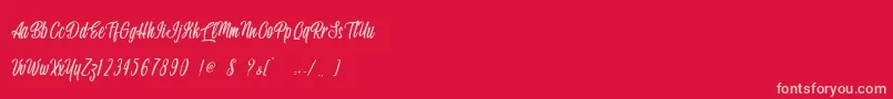 Handsome Boss   Personal Use Font – Pink Fonts on Red Background