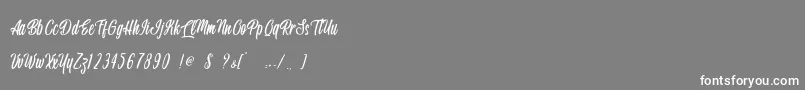 Handsome Boss   Personal Use Font – White Fonts on Gray Background
