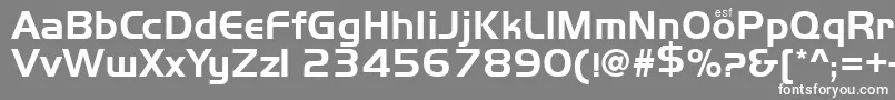 Handsome Font – White Fonts on Gray Background