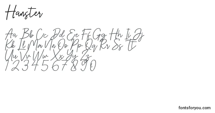 Schriftart Hanster – Alphabet, Zahlen, spezielle Symbole