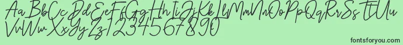Hanster Font – Black Fonts on Green Background