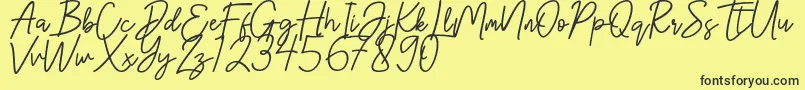 Hanster Font – Black Fonts on Yellow Background