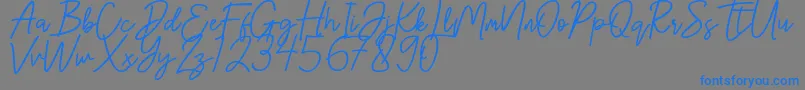 Шрифт Hanster – синие шрифты на сером фоне