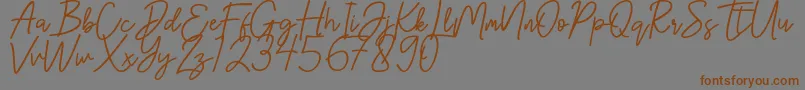 Шрифт Hanster – коричневые шрифты на сером фоне