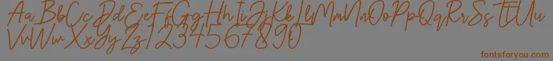 Hanster Font – Brown Fonts on Gray Background