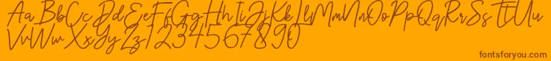 Hanster Font – Brown Fonts on Orange Background