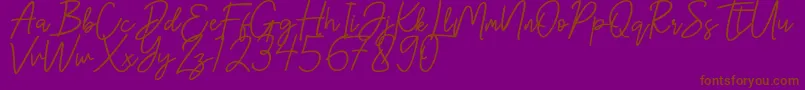 Hanster-fontti – ruskeat fontit violetilla taustalla