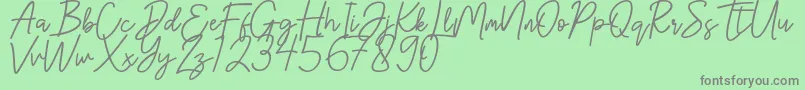 Шрифт Hanster – серые шрифты на зелёном фоне