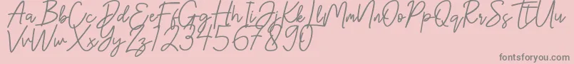 Hanster-fontti – harmaat kirjasimet vaaleanpunaisella taustalla
