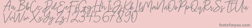 Hanster Font – Gray Fonts on Pink Background