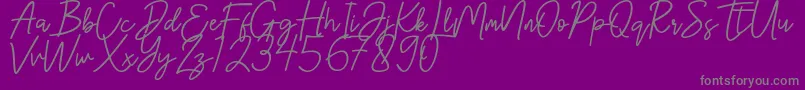 フォントHanster – 紫の背景に灰色の文字