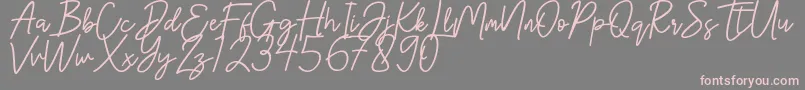 Hanster-Schriftart – Rosa Schriften auf grauem Hintergrund