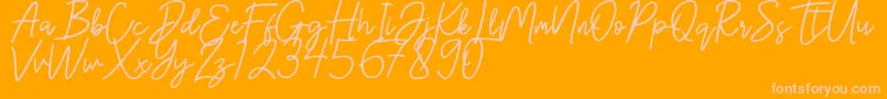 Hanster-Schriftart – Rosa Schriften auf orangefarbenem Hintergrund