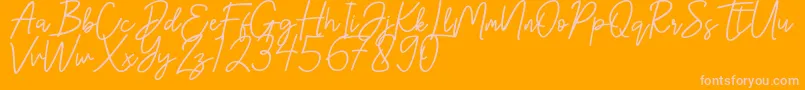 Hanster Font – Pink Fonts on Orange Background