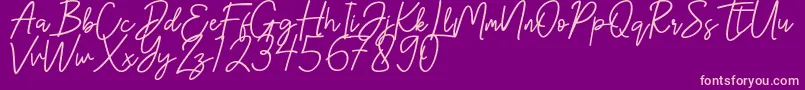 Hanster Font – Pink Fonts on Purple Background