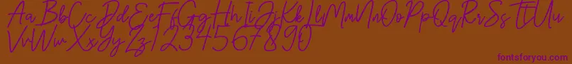 Шрифт Hanster – фиолетовые шрифты на коричневом фоне
